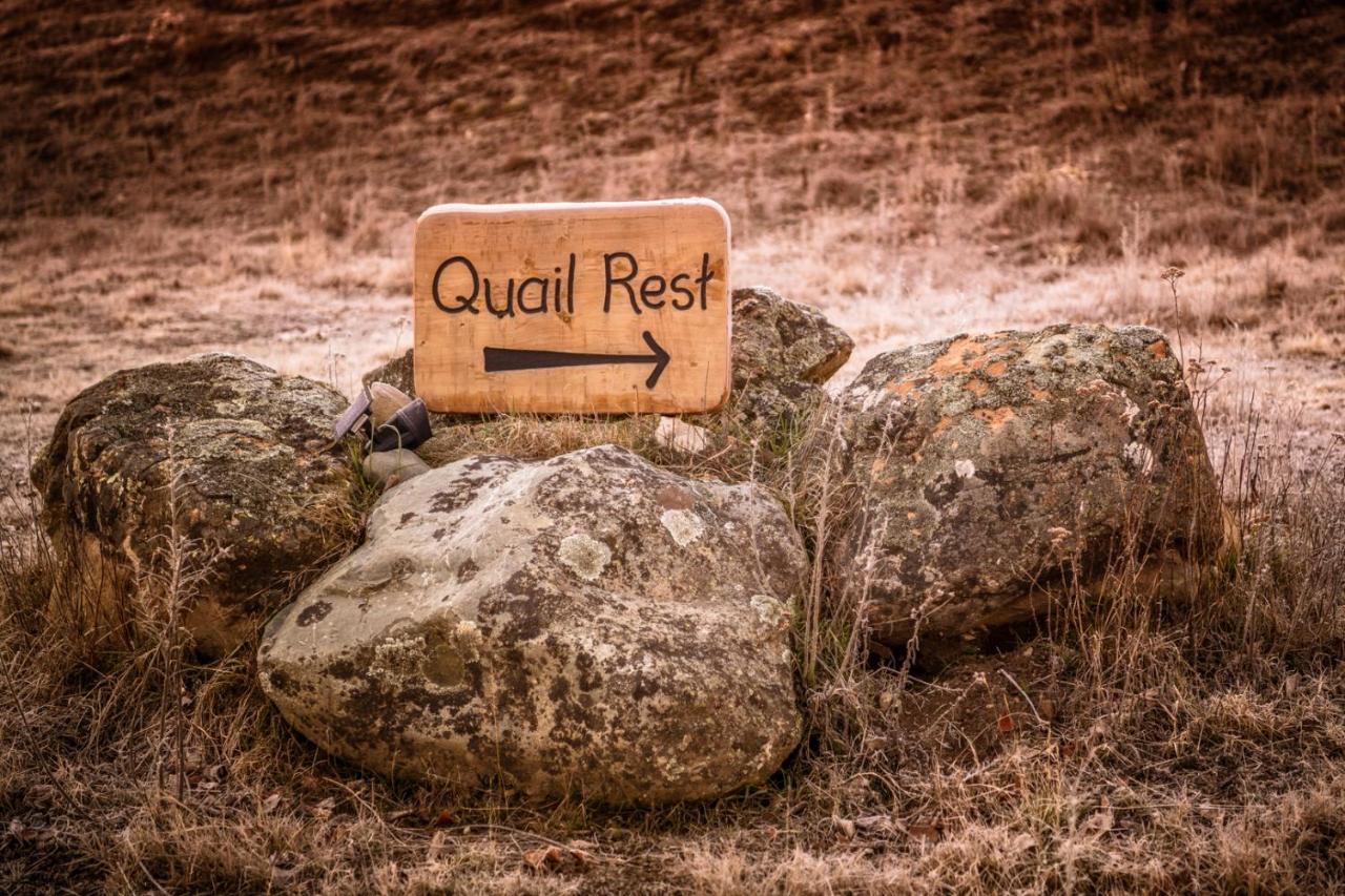 Quail Rest Villa Twizel Kültér fotó